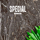 Special Surface